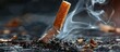 © Nld - Detailed Cigarette Burned on Ground
