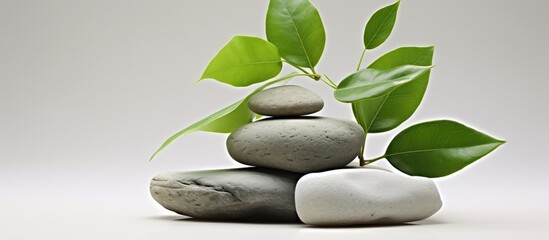 Sticker - A stack of rocks adorned with vibrant green leaves, resembling a natural flowerpot for a plant. The combination of terrestrial elements creates a unique display of natures beauty