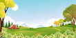 © Anchalee - Spring Background with Sky,Cloud,Grass field,Flower on Hill and Forest Tree in Village,Vector Cartoon Summer landscape peaceful rural nature in the park,Panoramic Banner for Easter