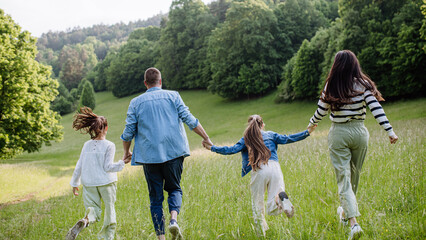 Wall Mural - Rear view of beautiful young family walking through grass at meadow, enjoying together time.