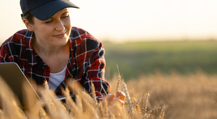 Aufkleber - Woman farmer working with laptop on wheat field. Smart farming and digital agriculture