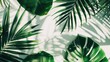 abstract background with green tropical leaves on white with green background and place for text