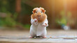 Cute guinea pig wearing a white karate uniform and doing karate