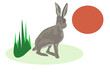 an illustration of a hare