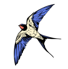 Wall Mural - swallow, flying bird, sketch illustration, hand drawn, black outline, engraving style