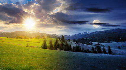 Wall Mural - summer landscape with meadow and spruce forest on hills in mountainous area with sun and moon on sky