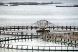 Fototapeta Nowy Jork - View of salmon fish farming pens