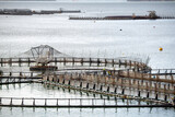 Fototapeta Nowy Jork - View of salmon fish farming pens