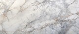 Fototapeta Desenie - Detailed close-up view of a high-resolution Italian marble slab, showcasing the texture of limestone on the polished surface. The grunge stone texture is visible,