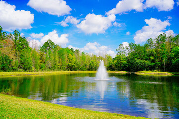 Sticker - A Florida community pond in spring