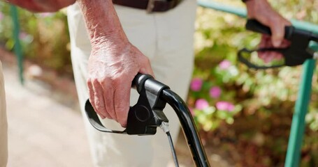 Poster - Hands, walking and frame outdoor with support care for person with a disability or rehabilitation, balance or wellness. Elderly adult, fingers and nature backyard, physical activity or retirement