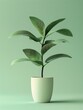 plant white pot green background physically based yellow scheme solid object void seedling flag tall tree left align content