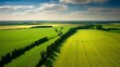 Aerial drone acres of green fields stretching for. Sunny landscape beauty of nature harvest farms. Top view from above green grass and forest poster photo