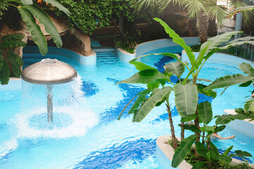 Water fountain in aquapark. Mushroom shape fountain in indoor adventure park full of green palm trees with bridge and swimming pools, hydro massage tubs indoor