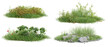© Chayanee - Collection unit green grass on transparent background 3d rendering png