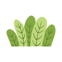 Green grass leaves. nature decoration vector