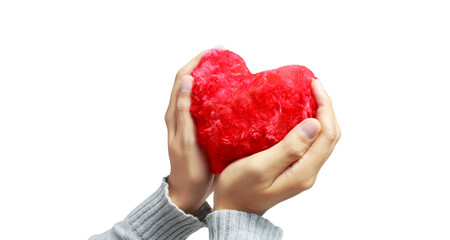 Hands holding  red heart. heart health donation