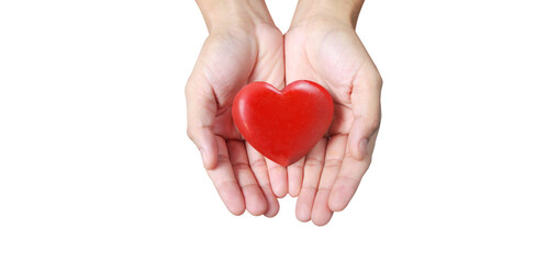 Hands holding  red heart. heart health donation