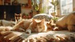 Cute pets playing in a cozy home environment