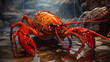 Close-up View of Majestic Crawfish in Vibrant Hues and in Naturalistic Surrounding Environment