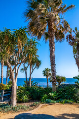 Wall Mural - A beautiful overlooking view of nature in Laguna Beach, California