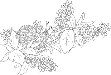 Wall Mural - Funny exotic spotted snail creeping on a tree branch with a lot of beautiful and very tasty flowers in a summer tropical rainforest, black and white outline vector cartoon illustration for a coloring 