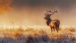 Majestic deer walking out of the mist, a serene presence in the wilderness, its form gradually appearing from the fog, a symbol of the untamed world, AI Generative