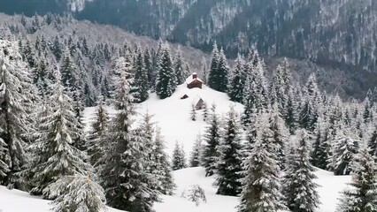 Wall Mural - Carpathians, Ukraine, a high-mountain Orthodox church, alone among wild forests and pastures, in the summer shepherds of cows and sheep pray here, and in the winter there is solitude and deep snow