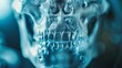 A haunting blue x-ray image focusing on the teeth structure within a human skull, providing a detailed view of dental anatomy.
