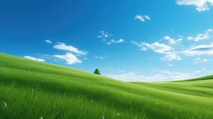 Wall Mural - The green grass hill contrasts with the bright sky. 