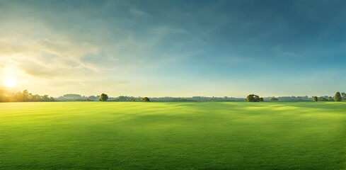 Wall Mural - fresh springtime lawn under sunny sky