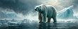 Frozen Majesty: The Polar Bear's Realm