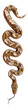Snake boa constrictor. Isolated on transparent background.