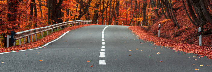 Sticker - Asphalt road going through the autumn forest