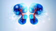 illustration of inflamed diseased kidneys, healthy kidneys