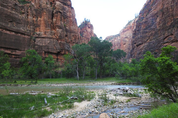 Wall Mural - Zion National Park, Springdale, Utah, United States