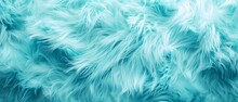 Close Up Of Soft Fluffy Turquoise Feather Abstract Background Texture. Surface, Wallpaper, Copy Space. 