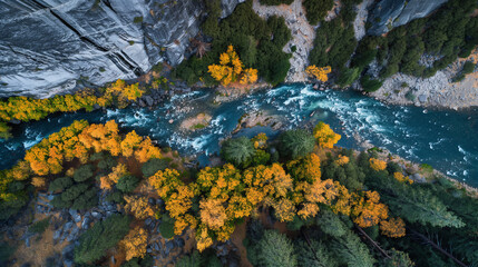 Wall Mural - Scenic natural park aerial view high angle picturesque