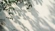 Organic drop diagonal shadow on a white wall, generative ai