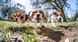 Trio of Joyful Beagles Sprinting Exuberantly in Sunlit Park - Generative AI