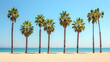 © SS Digital - Palm trees lining a sandy beach under a clear sky background