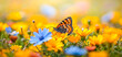 Vibrant Butterfly Perched on Sunlit Golden Blooms. Summer flowers meadow