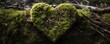 Forest dig cemetery, funeral background - Closeup of wooden heart on moss. Natural burial grave in the woods