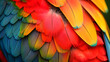 Close-ups of brilliantly colored feathers of exotic birds background