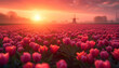 Beautiful sunset above the windmills on the field with tulips in the Netherlands, sunset in a tulip field in the Netherlands with a windmill turbine farm on background Beautiful sunlight Dutch spring