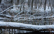 zimowy krajobraz nad wodą w lesie 3