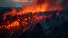 Ferocious Blaze Ravages Vast Woodland, Alarming Global Ecological Crisis