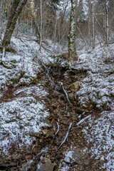 Wall Mural - snow in the mountains