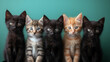 adorable group of five black, orange and gray cats