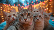 selfie photo of cute group of 6 cats
